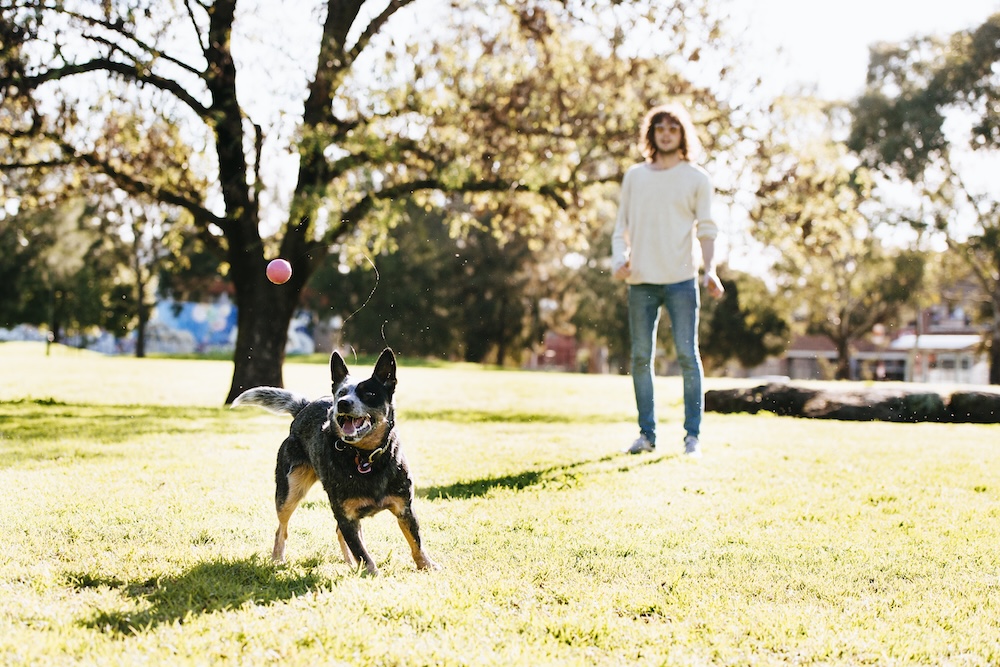 Young man with dog at local park by his pet friendly studio apartments